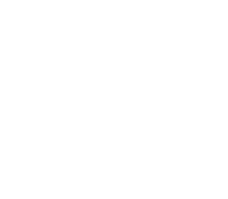 VEMAC-V-LOGO